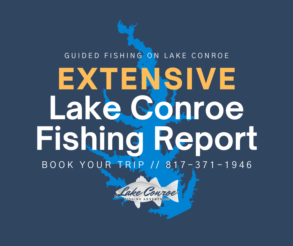 Extensive Lake Conroe Fishing Report by Licensed Professional Fishing Guide Collin Edwards of Lake Conroe Fishing Adventures
